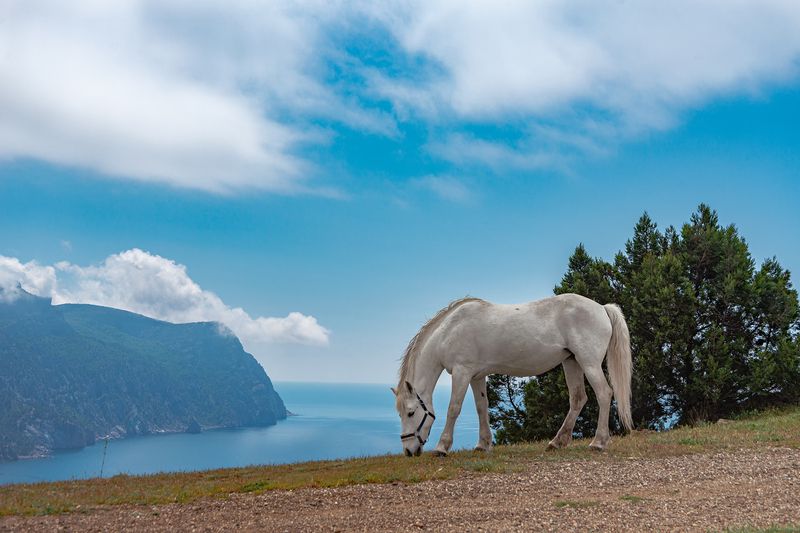 Над морем фото превью
