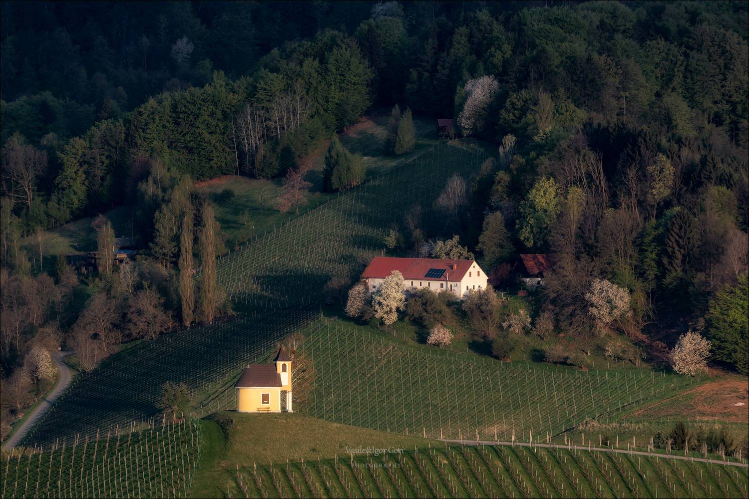 dreisiebner kapelle,свет,spring,часовня,штирия,chapel,гамлитц,австрия,gamlitz- sernau,landscape,панорама,весна,rural, Гори Василий