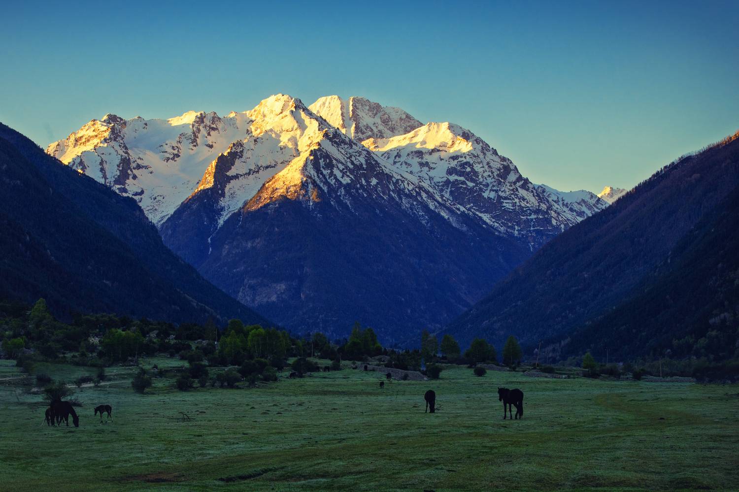 Первые лучи солнца. Автор: Гуринович Дмитрий , Гуринович Дмитрий
