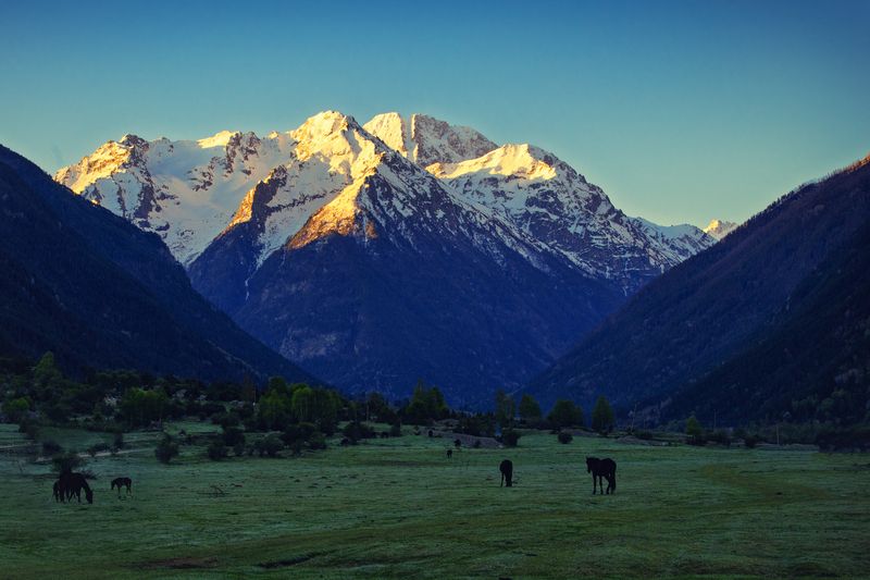 Первые лучи солнцаphoto preview