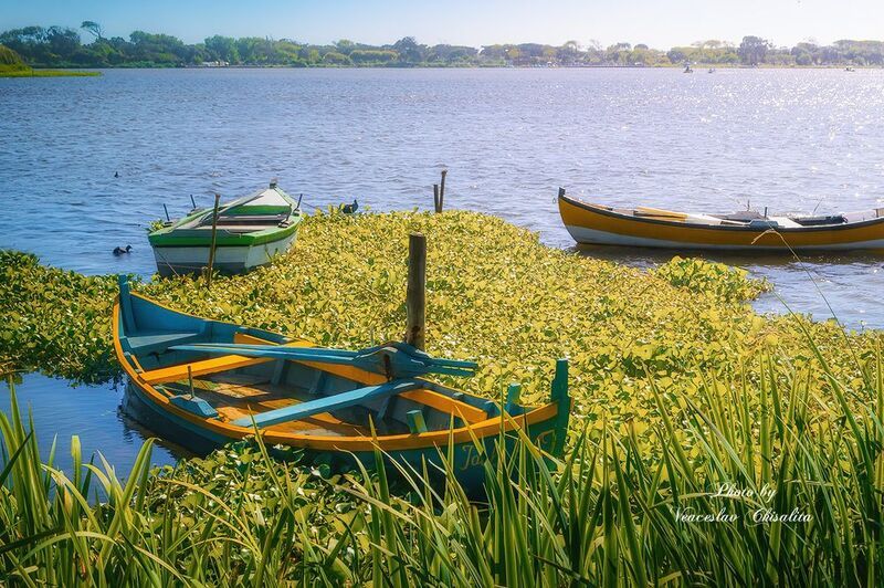 #природа #живописно #пейзаж #тишина #свежийвоздух #диканатура #зелень #вода #природнаямагия #nature #greenescape #hikingadventures #naturevibes #wildwater #earthmood #sereneviews #landscape_lovers #wanderlust #freshair #calmplace На волне уюта и свежести ??photo preview