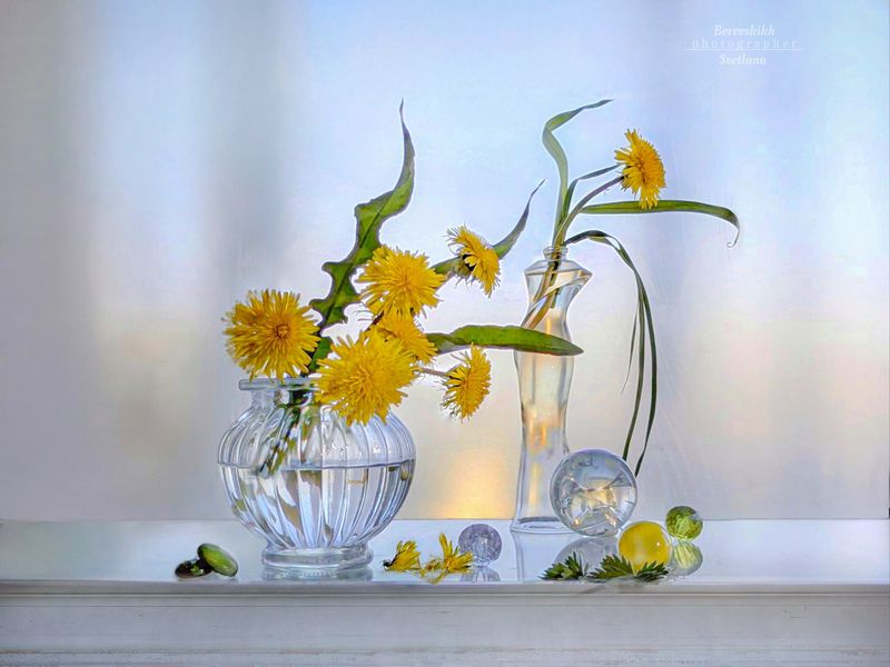 натюрморт, art_photo, полиэтилен, стекло, цветы, одуванчики, фото на окне, фото через полиэтилен, фото на телефон Одуванчикиphoto preview
