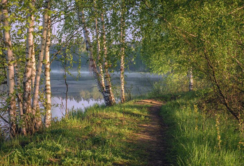 май утро тропинка туман серково Прохладное утро маяphoto preview