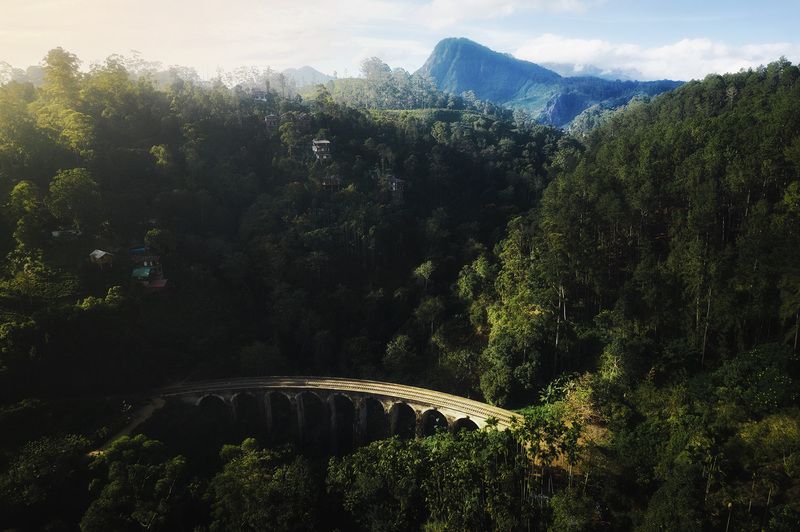 Nine Arch Bridge, Девятиарочный мост,  Шри-Ланка, Sri Lanka, Ella, Элла Девятиарочный мостphoto preview