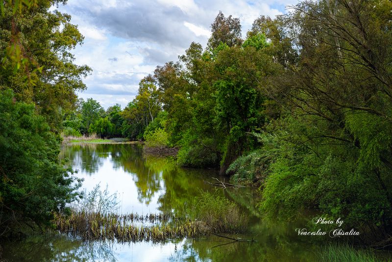 Сердце дикой природыphoto preview