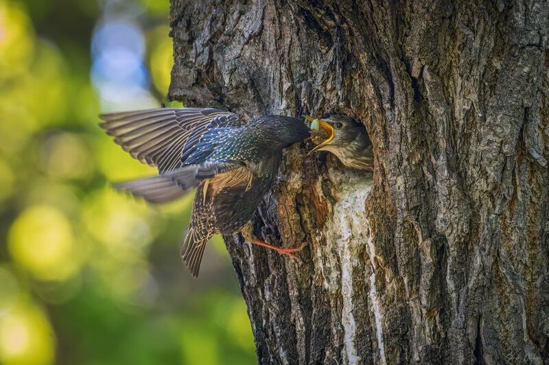 Поесть - уговаривать не надоphoto preview