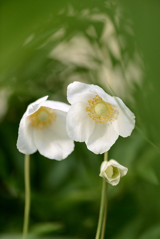 Любимые ✿⊱╮ photo preview