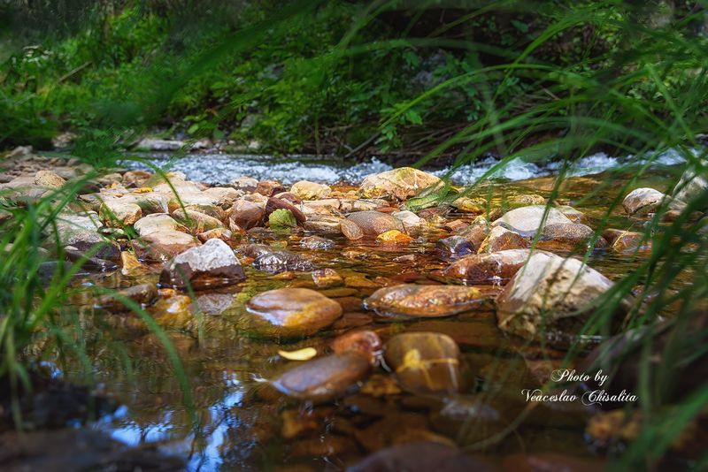 #природа #горныйручей #живописно #горы #поход #летовгорах #пейзаж #тишина #свежийвоздух #диканатура #поток #зелень #вода #горнаярека #природнаямагия #nature #mountainstream #greenescape #hikingadventures #naturevibes #wildwater #earthmood #sereneviews #la Детали обычно важнее всегоphoto preview