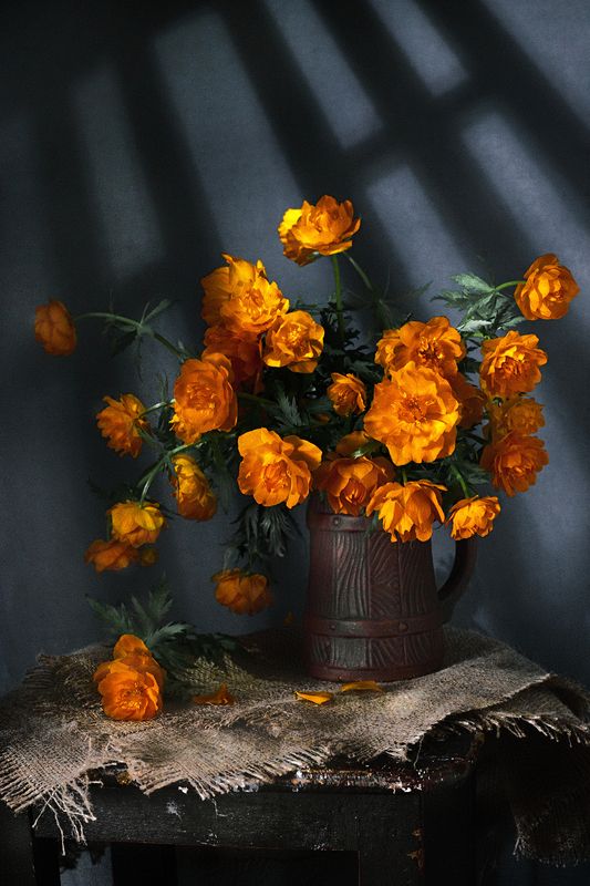 купальницаphoto preview