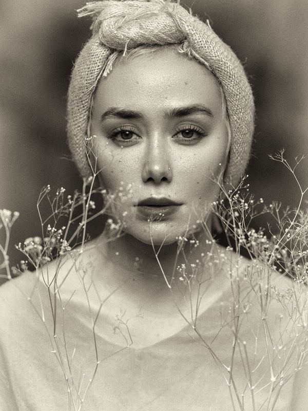 navid mousavi Veylaphoto preview