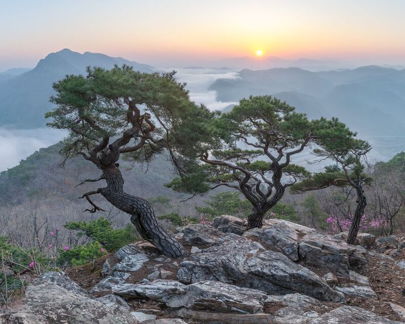 Spring, Suspicious Triophoto preview