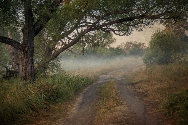 туман, утро Туманное утроphoto preview