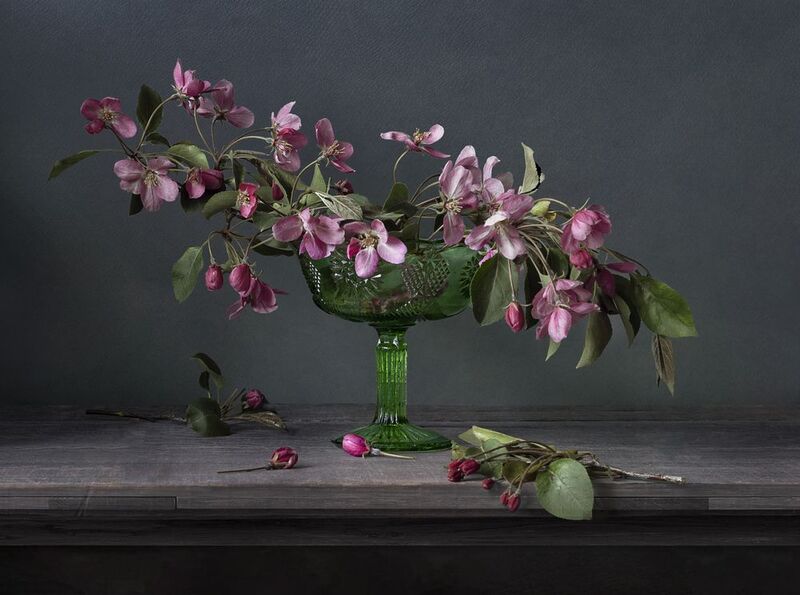 Цвет яблониphoto preview