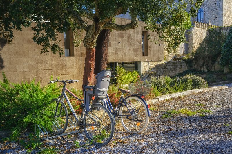 Выходной деньphoto preview