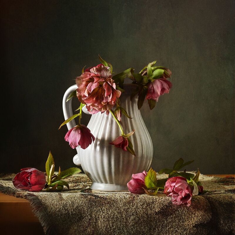 Морозникphoto preview