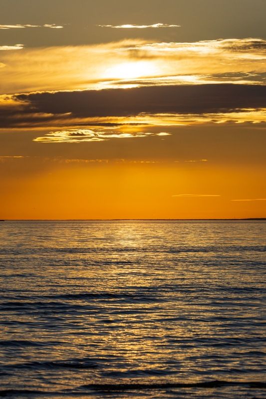 закат, финский залив, балтика Закат на Финском заливеphoto preview