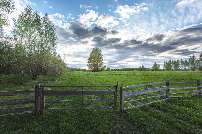 Смоленская обл. Торбеево Весна в Торбеево-2 фото превью
