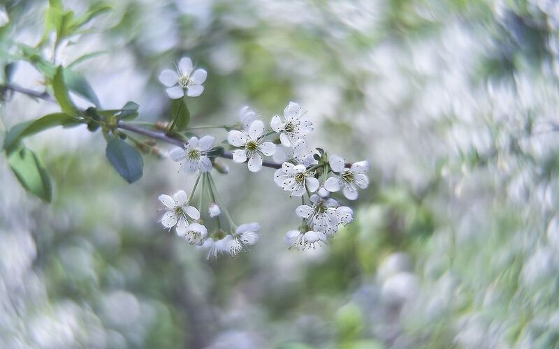 кинопроекц.объектив 16кп-1.2/50  фото превью