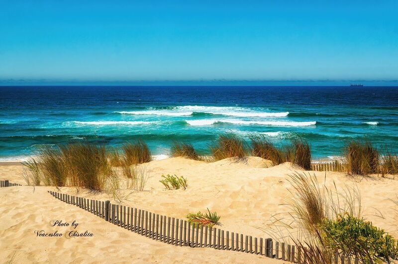 #океан #мировойокеан #океанвид #морскаягладь #приливиотлив #океанскиетечения #глубиныокеана #морскаястихия #море #путешествие   #ocean #deepblue #oceanview #openwater #oceanvibes #saltwater #tides #marinelife #seascape #oceanlover #oceanphotography #trave Тягунphoto preview