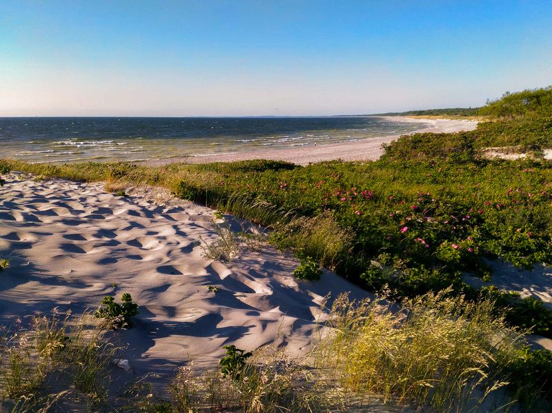 дюны море ***photo preview