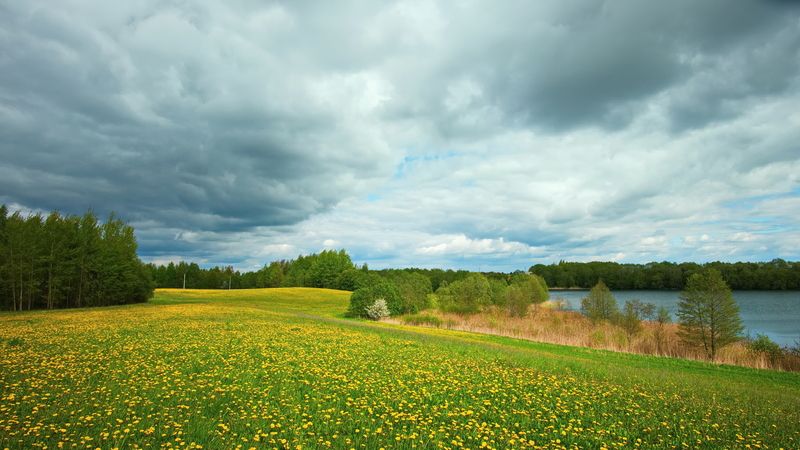 май, луг, одуванчики, яблоня, озеро, пушкари, беларусь Майский пейзажphoto preview