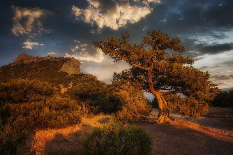 Ушли в закат фото превью