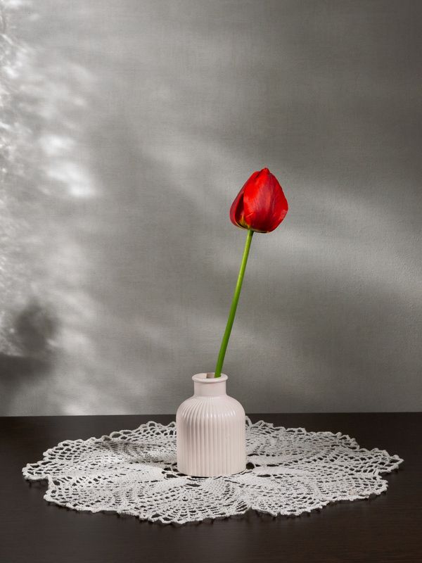 Красный тюльпанphoto preview