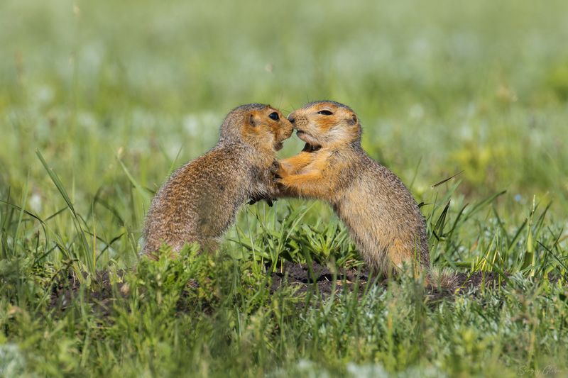 Что наша жизнь? Борьба!photo preview