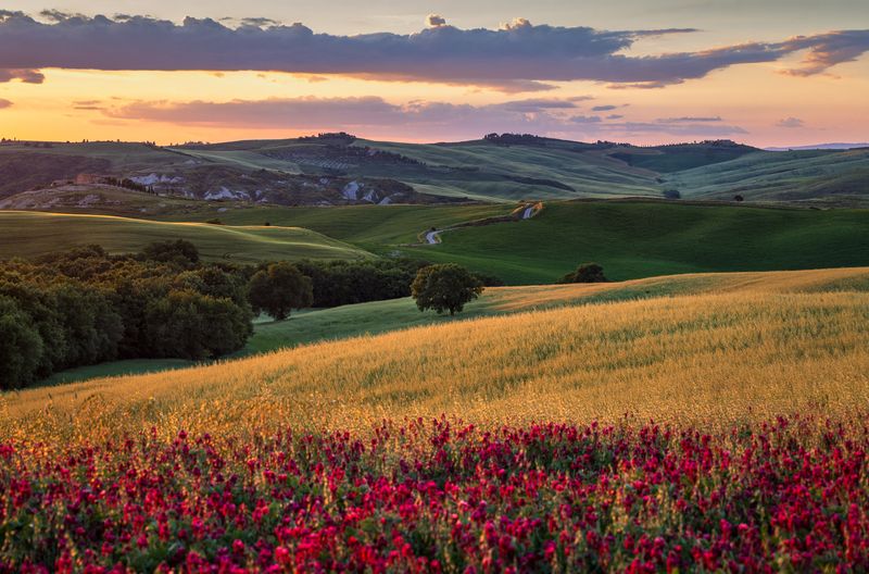 Майский пейзажphoto preview