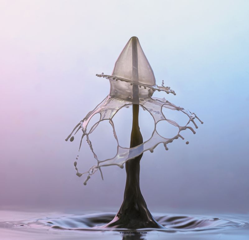 drops, macro, colors, liquid, color_water, macro_photo, abstract, milk, white Milk dropsphoto preview