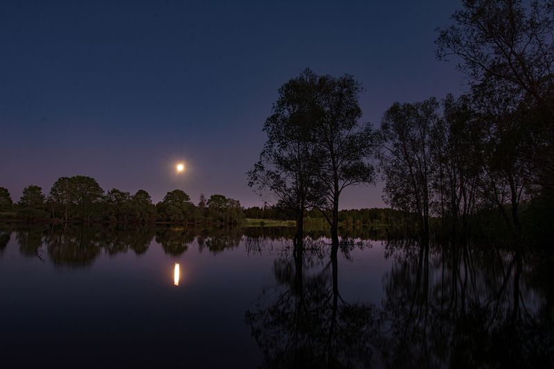 тиха майская ночьphoto preview