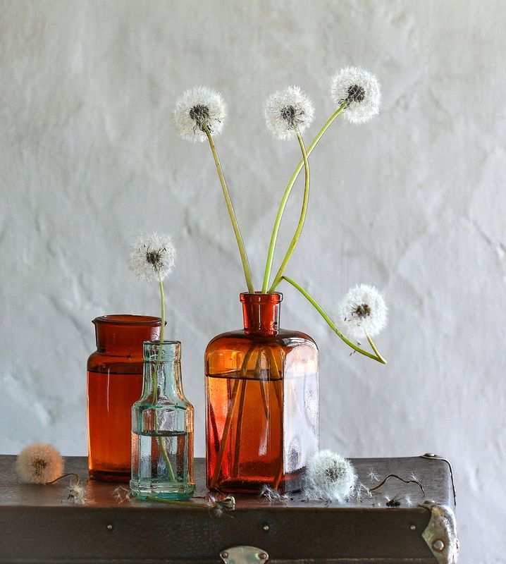 С одуванчикамиphoto preview