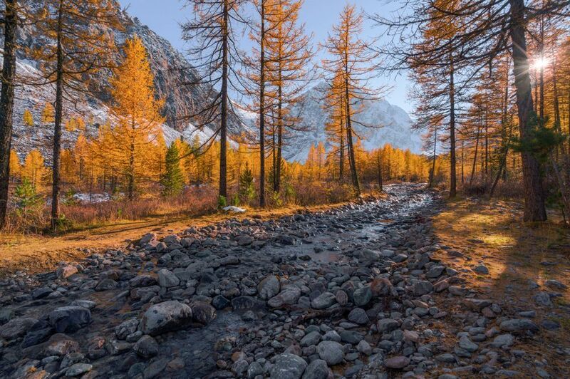 Россия, Алтай, Актру,осень, горы, пейзаж, природа Актруphoto preview