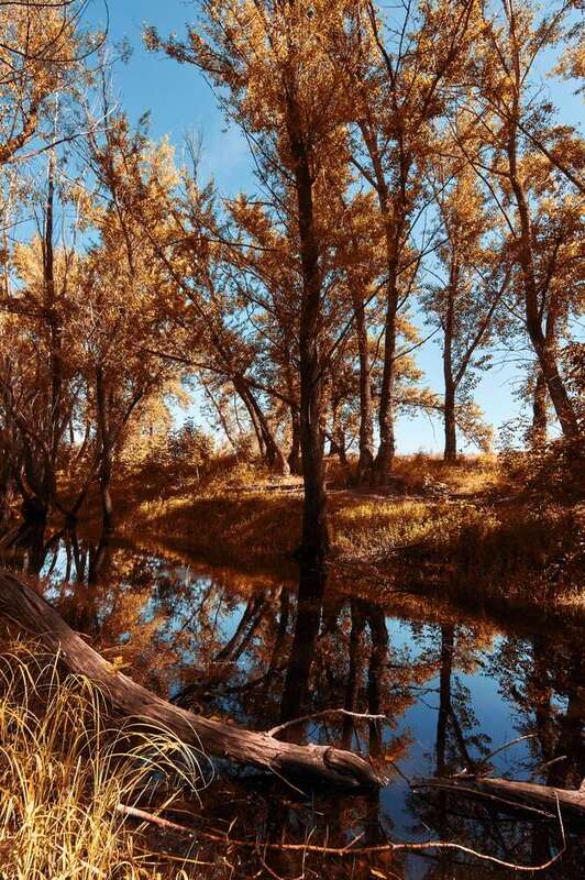 landscapes, volgograd, russia, wildlife,  #photo preview