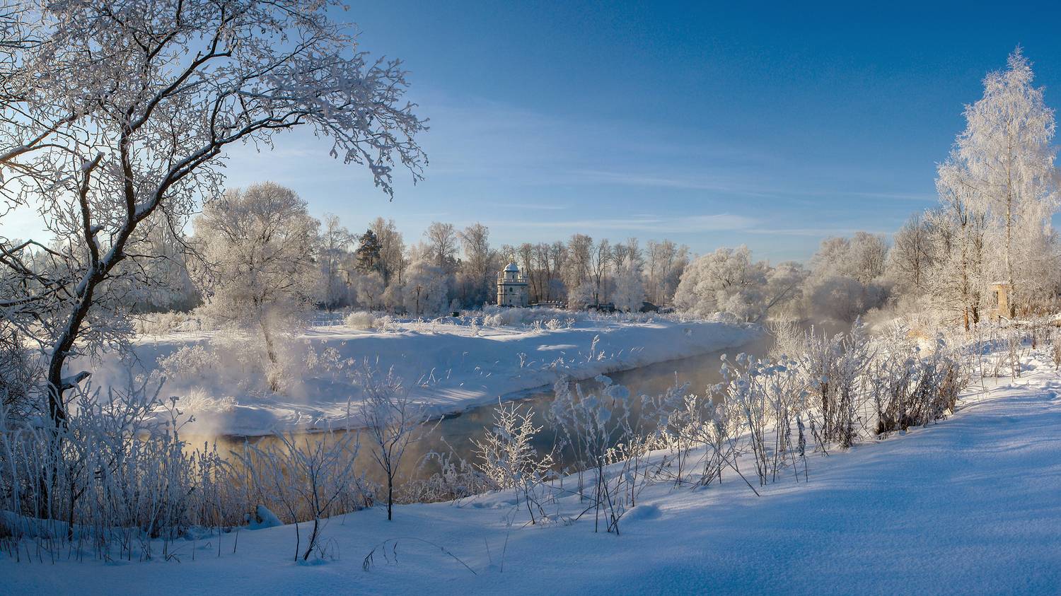 мороз, иней, река истра, зима, Медведев Александр