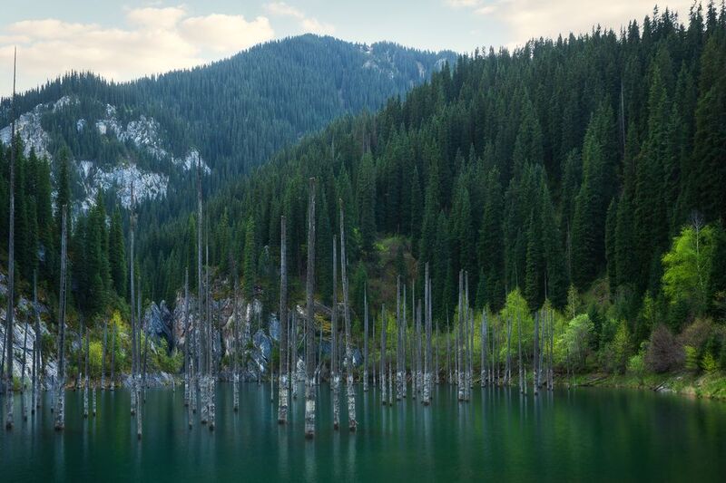 Безмолвиеphoto preview