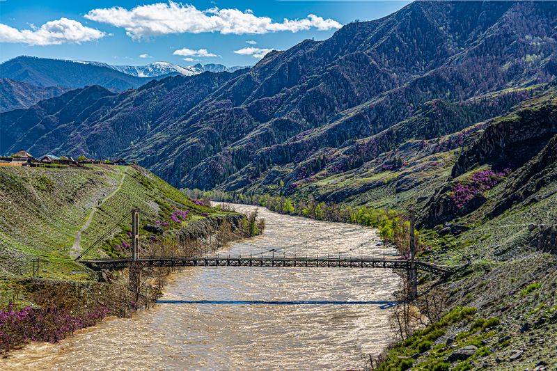 ининский (цаплинский) мост возле села иня. Ининский (Цаплинский) мост возле села Иня.photo preview
