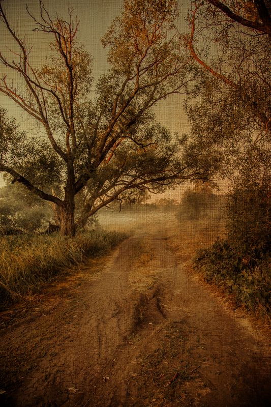 Туманноеphoto preview