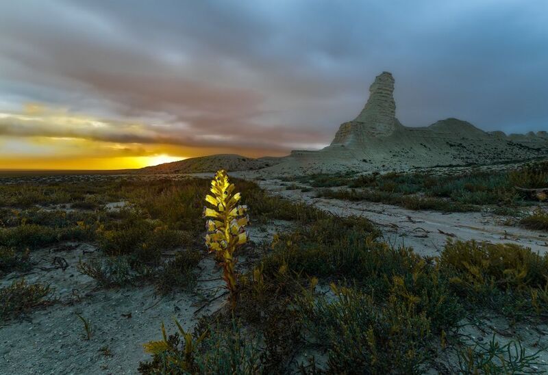 Скиф Казахстанских степейphoto preview