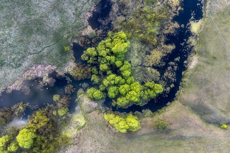 пейзаж, река, природа, dji Веснаphoto preview