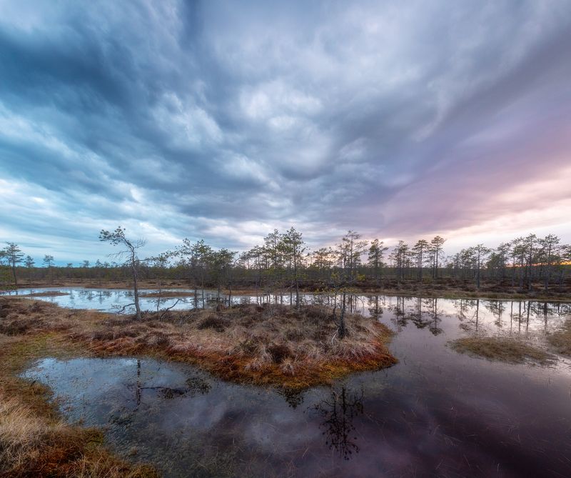 болото, карелия, весна, утро, рассвет, фототур  фото превью