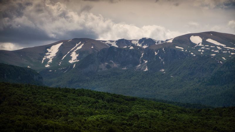 Фиштphoto preview