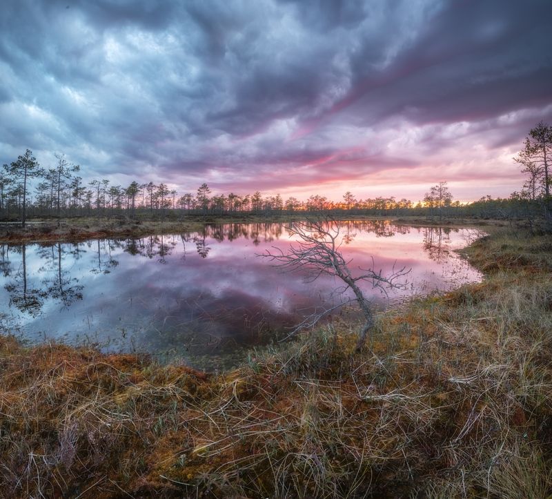 болото, закат, ленобласть ***photo preview