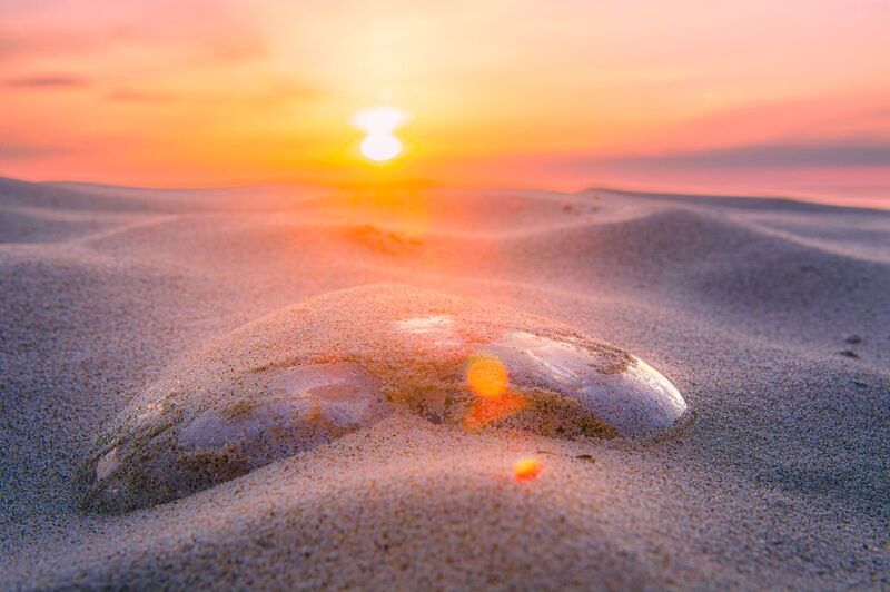 Сердце пескаphoto preview