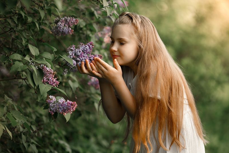 Очаровательный запах сирениphoto preview