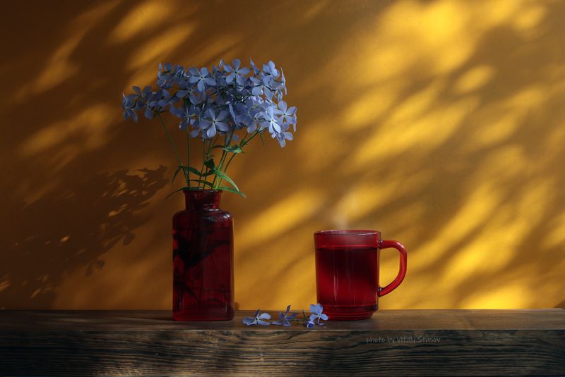 цветы, чай, натюрморт, напиток, аромат, вкусно, flowers, coffee, still life, drink, aroma, delicious, bouquet , flowers Чашка чая и настроение..photo preview