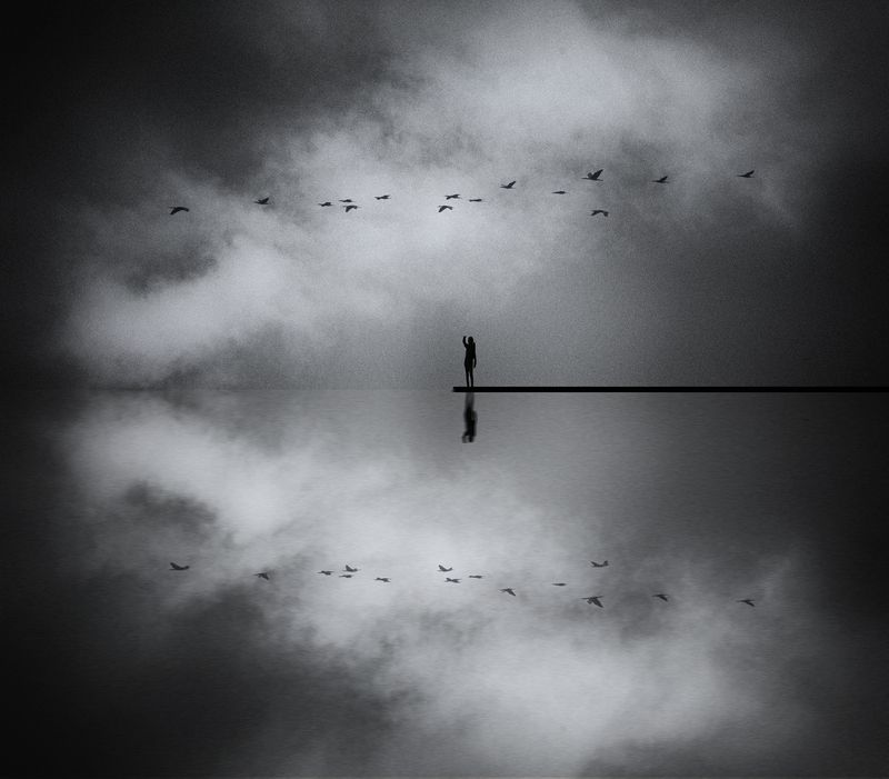 timelessnessphoto preview