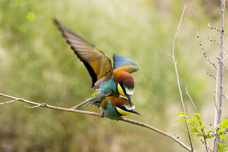 природа Сезонphoto preview