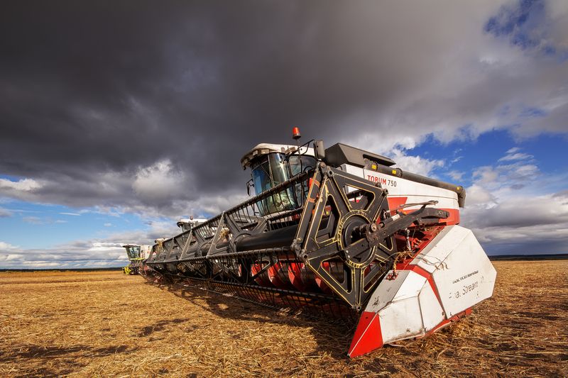 После работы фото превью