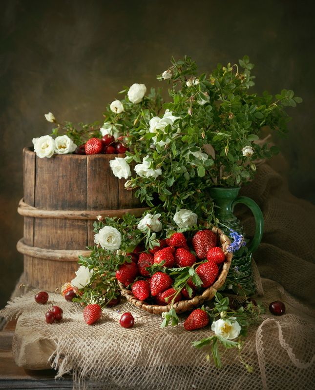 Шиповник и ягодыphoto preview